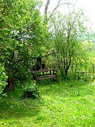 Bank im Garten