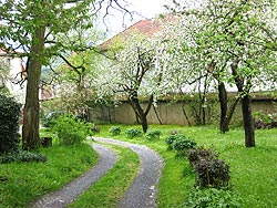 Zufahrt und Garten
